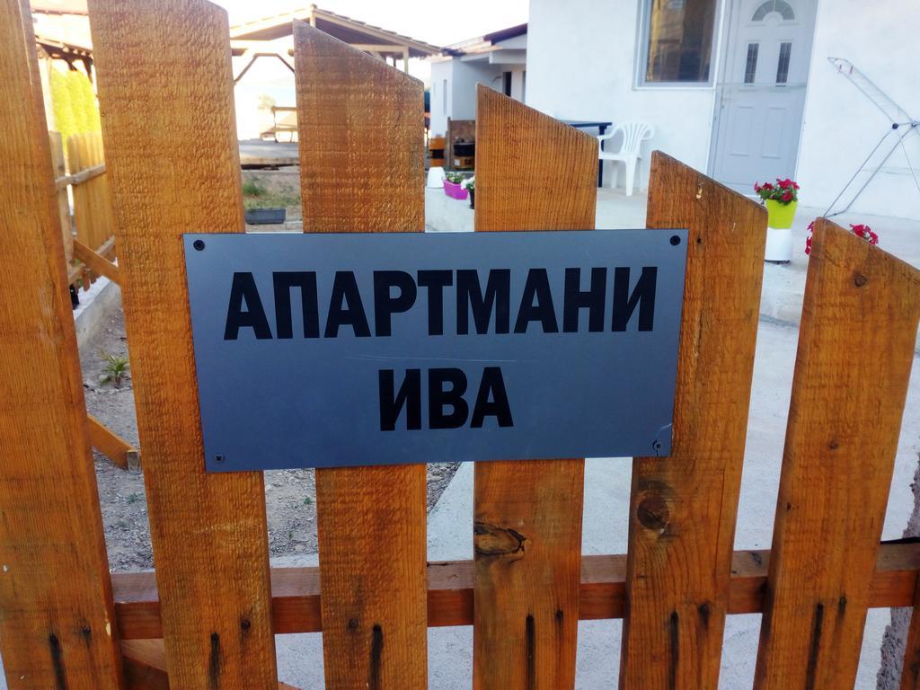 Iva Dojran
